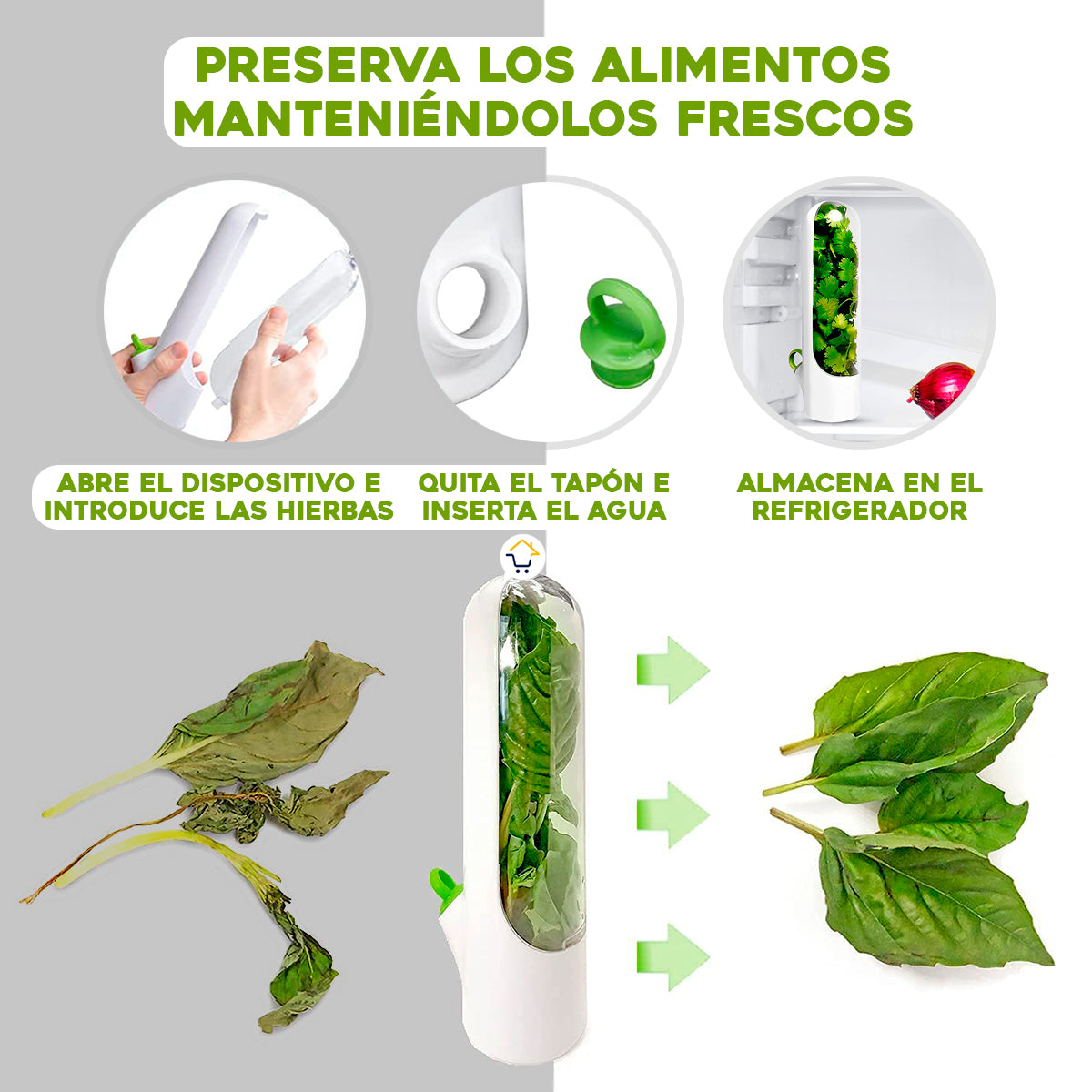 Encabezado