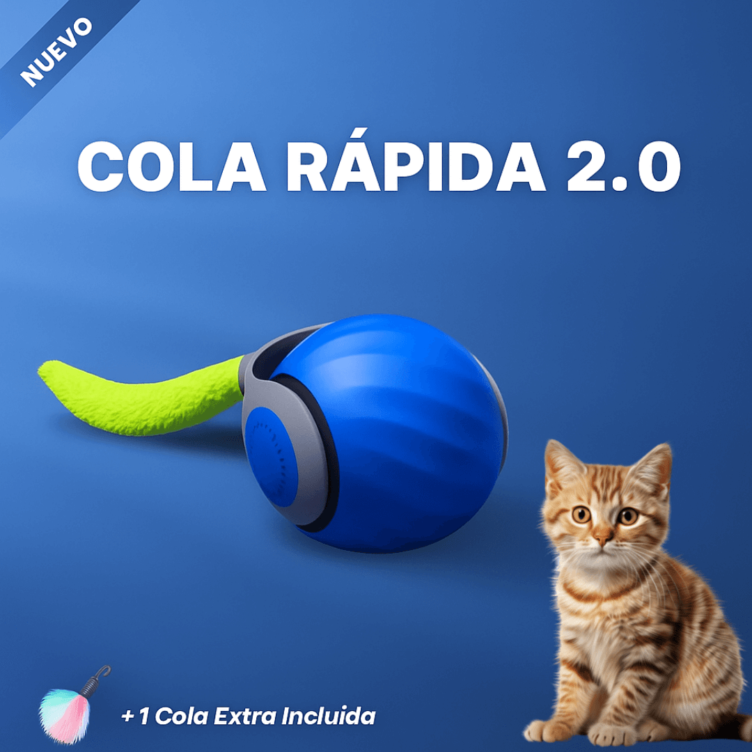 COLA RÁPIDA 2.0 (PELOTA INTERACTIVA)