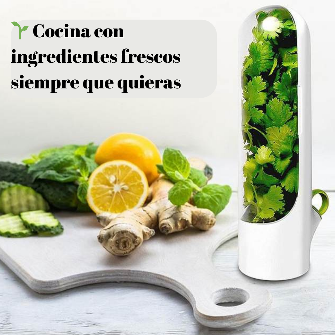 Encabezado
