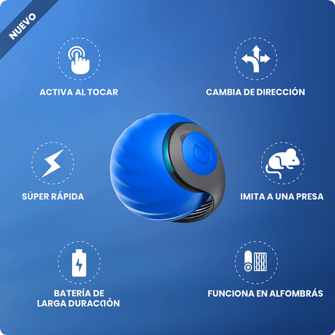 Producto