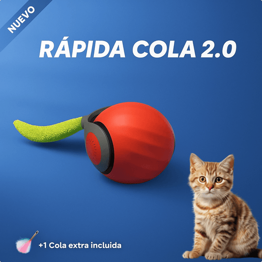 COLA RÁPIDA 2.0 (PELOTA INTERACTIVA)